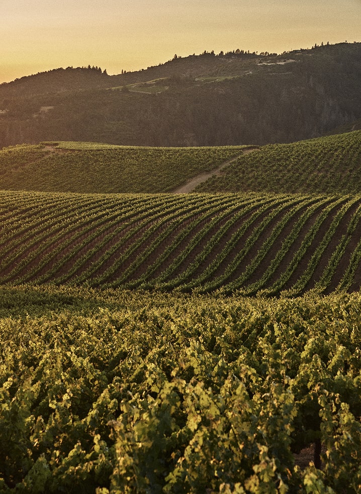 essence-vintage-notes-desktop