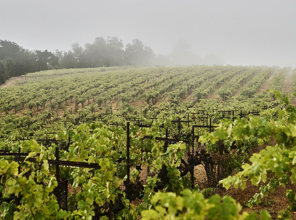 impression-beside-bottle