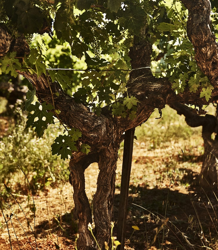 impression-vintage-notes-desktop