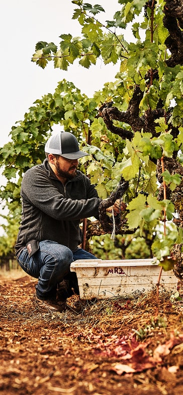 juan-alonso-two-large