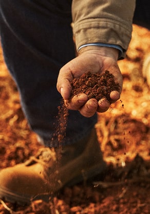 juan-alonso-two-small