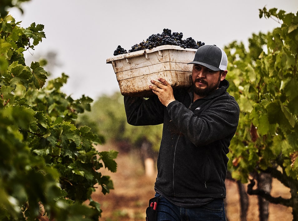 los-ninos-beside-bottle