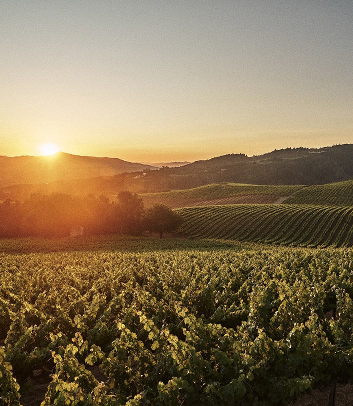 los-ninos-cellar-notes-mobile